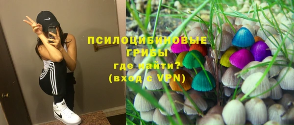PSILOCYBIN Балахна