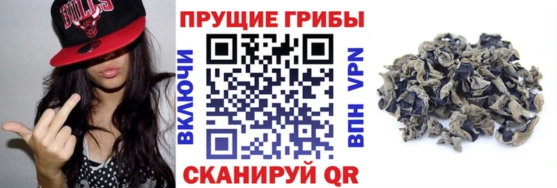 Псилоцибиновые грибы Cubensis  Купить закладки  Североморск 